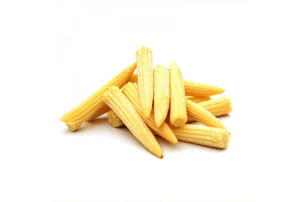 BABY CORN