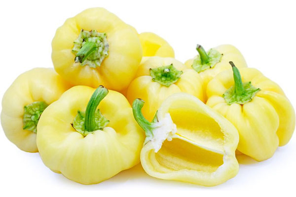 CAPSICUM-PEPPER WHITE