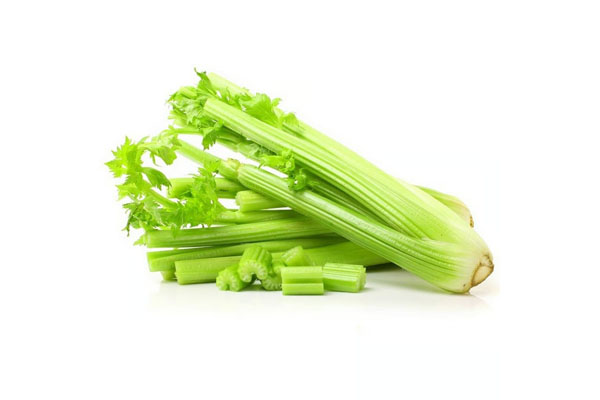 CELERY