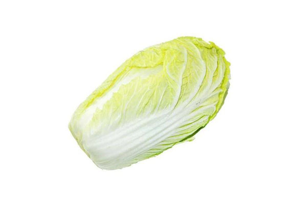 CHINESE CABBAGE