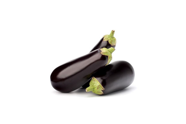 EGG PLANT HOLLAND