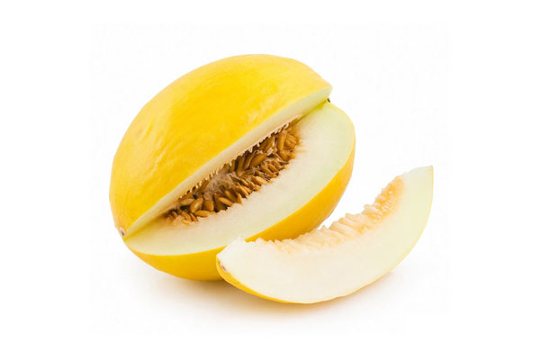 HONEYDEW MELON USA