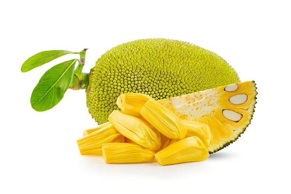 JACK FRUIT