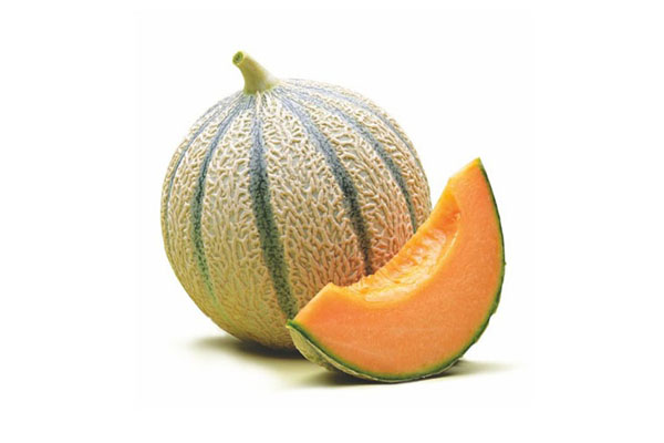 MELON CANTALOUP USA