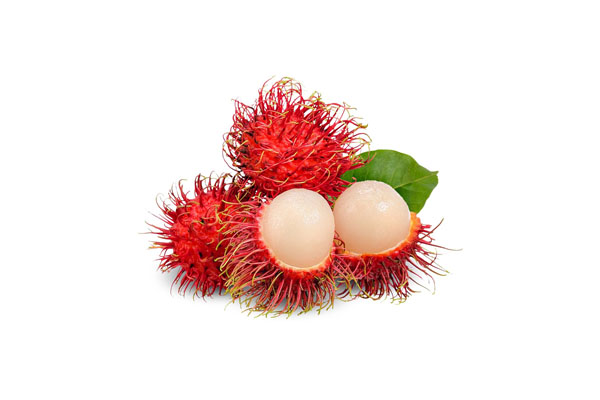 RAMBUTAN