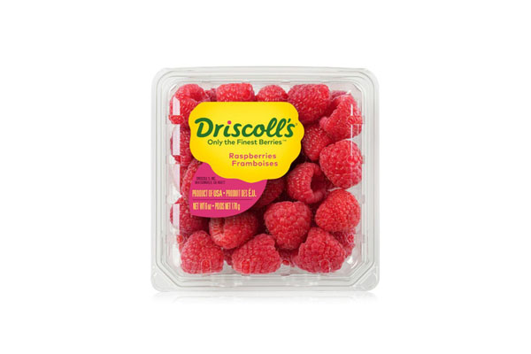 RASPBERRY RED DRISCOLL 170GM USA