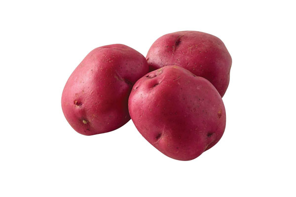 RED POTATO