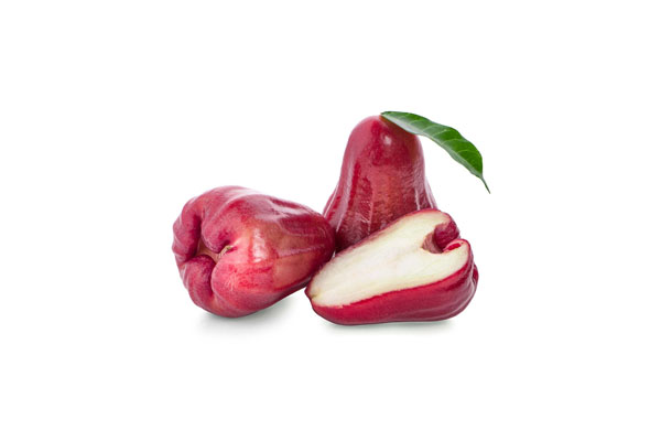 ROSE APPLE RED