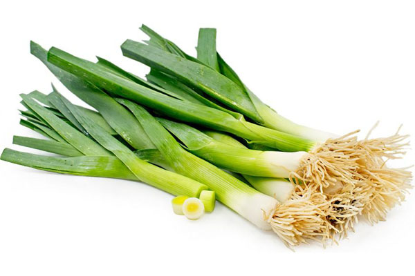 SPRING ONION