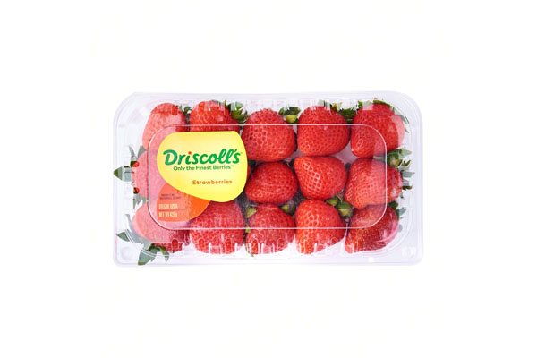 STRAWBERRY DRISCOLL USA