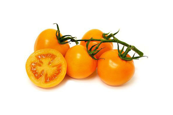 TOMATO Orange BUNCH