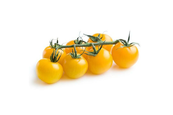 TOMATO YELLOW BUNCH