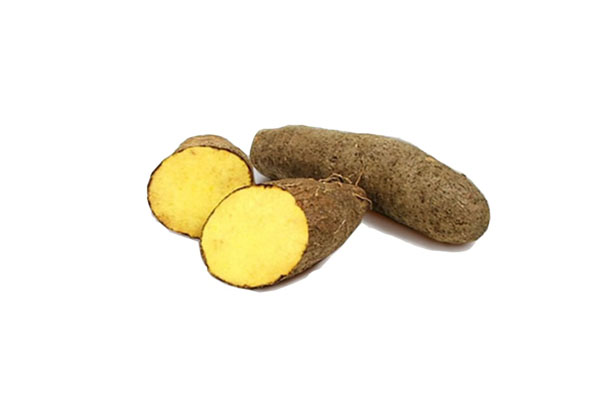 YELLOW YAM POTATO